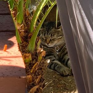 Meet your Posher, Renee